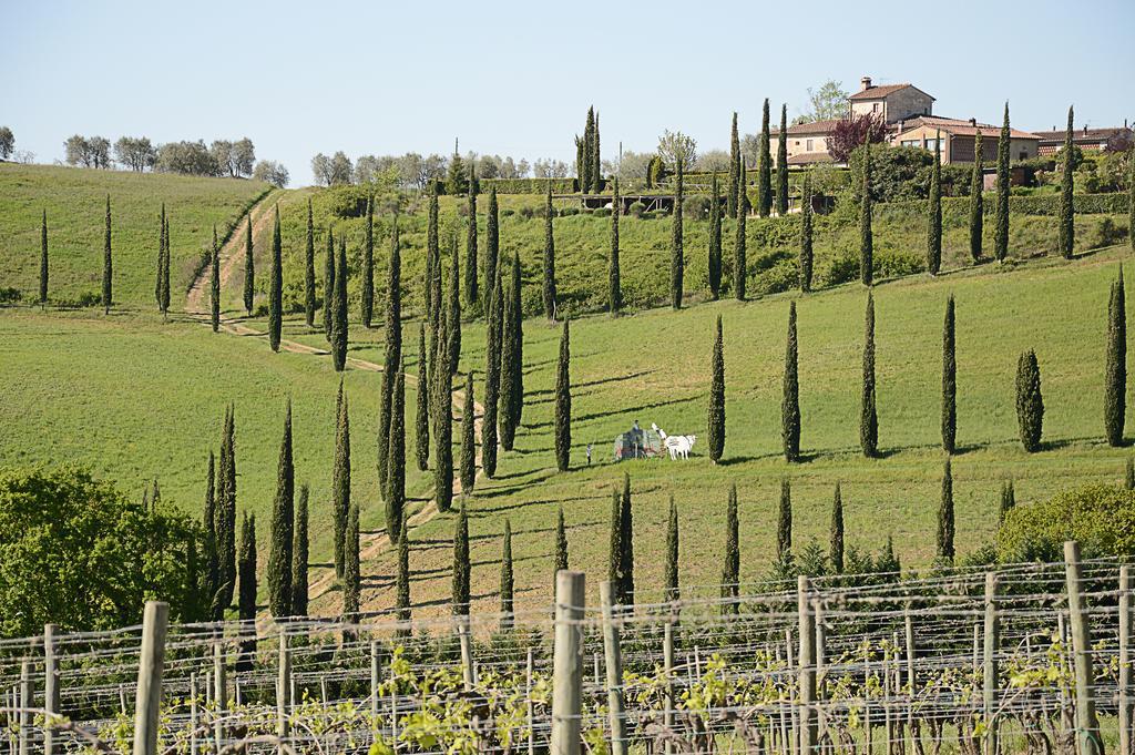 Adalberto - Nella Dimora Di Fulignano San Gimignano Exteriör bild